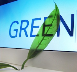 Going green: Is there more to sustainability than just being green?