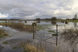 Planning and Climate Change Coalition urges David Cameron to take responsibility for flooding measures