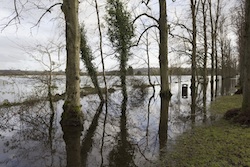 Homes on Somerset Levels and South West coast could be affected by new Flood Re scheme