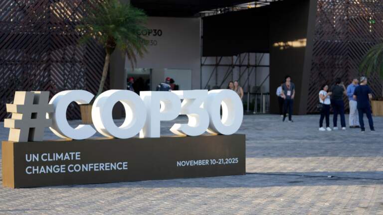 Key Insights into COP30: The Future of Climate Action