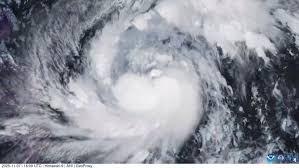 Typhoon Fung Wong: Recent Impacts and Forecasts