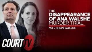 The Disappearance of Ana Walshe: A Compelling Case