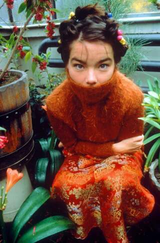 The Artistic Journey of Bjork: A Musical Pioneer