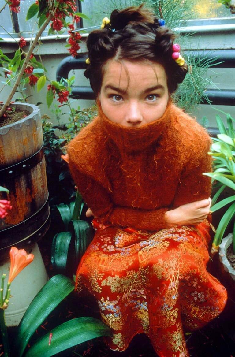 The Artistic Journey of Bjork: A Musical Pioneer