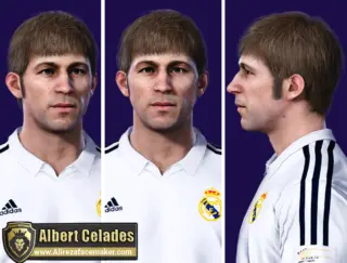 Understanding the Career of Albert Celades