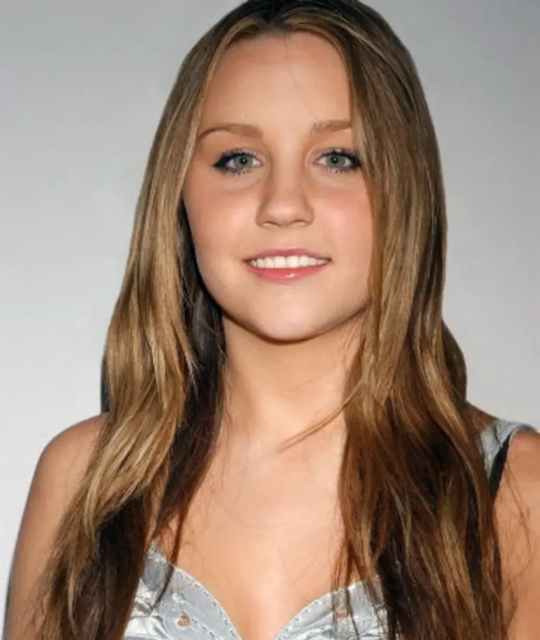 Recent Developments in the Life of Amanda Bynes