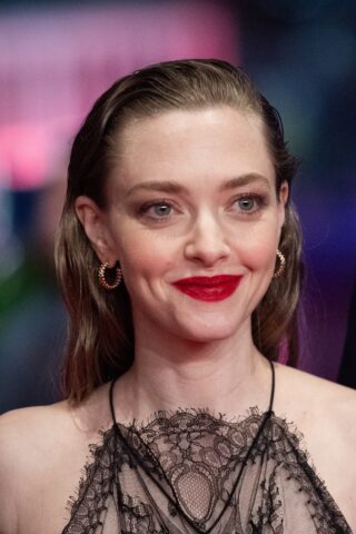 The Career Journey of Amanda Seyfried