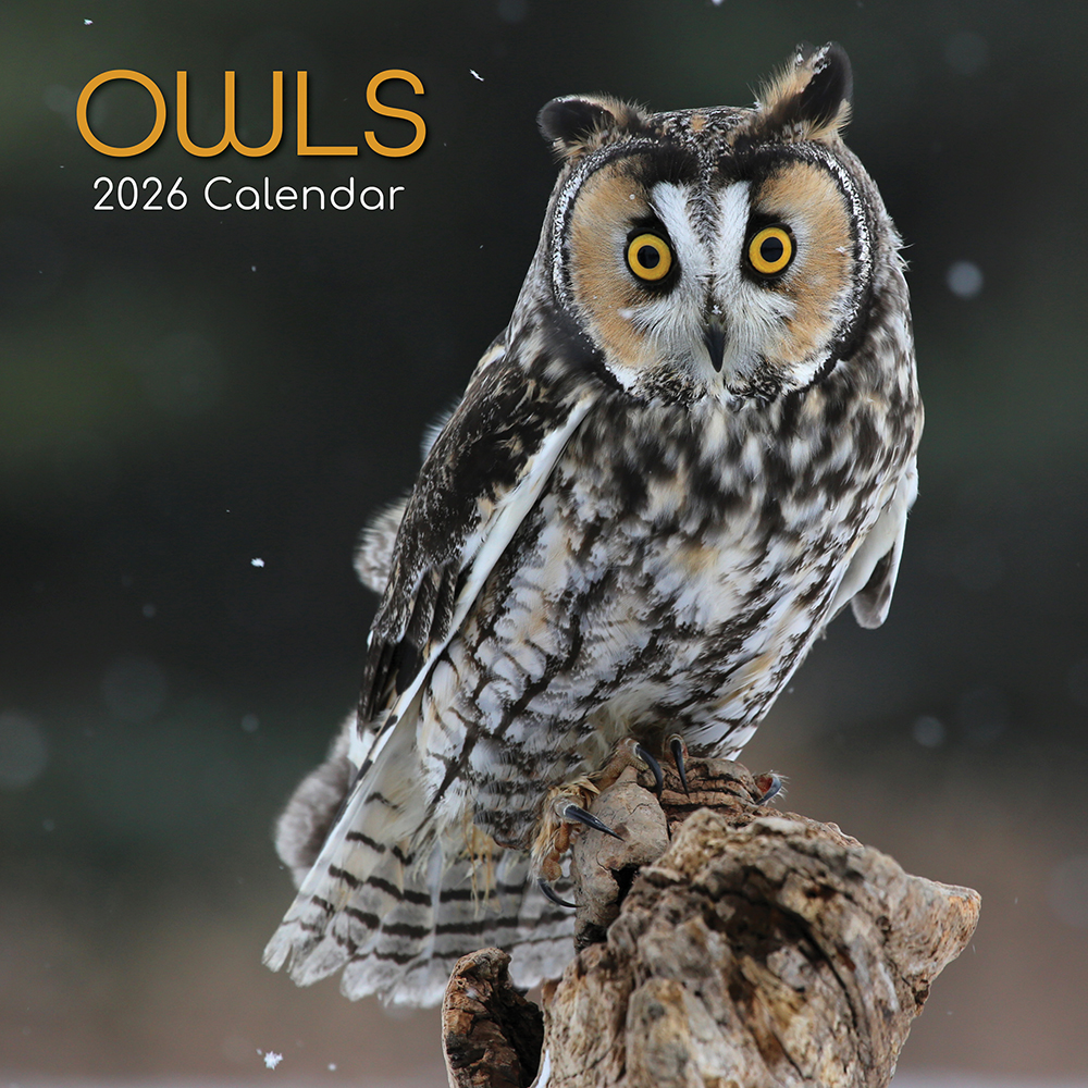 Birdwatch 2026: The Future of Birdwatching Awaits