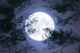 The Rarity and Significance of the Blue Moon