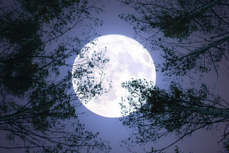 The Rarity and Significance of the Blue Moon