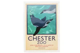 Exploring Chester Zoo: A Hub of Conservation and Fun