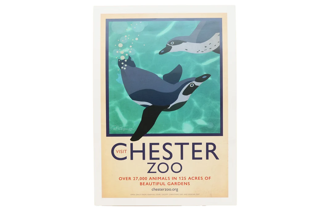 Exploring Chester Zoo: A Hub of Conservation and Fun