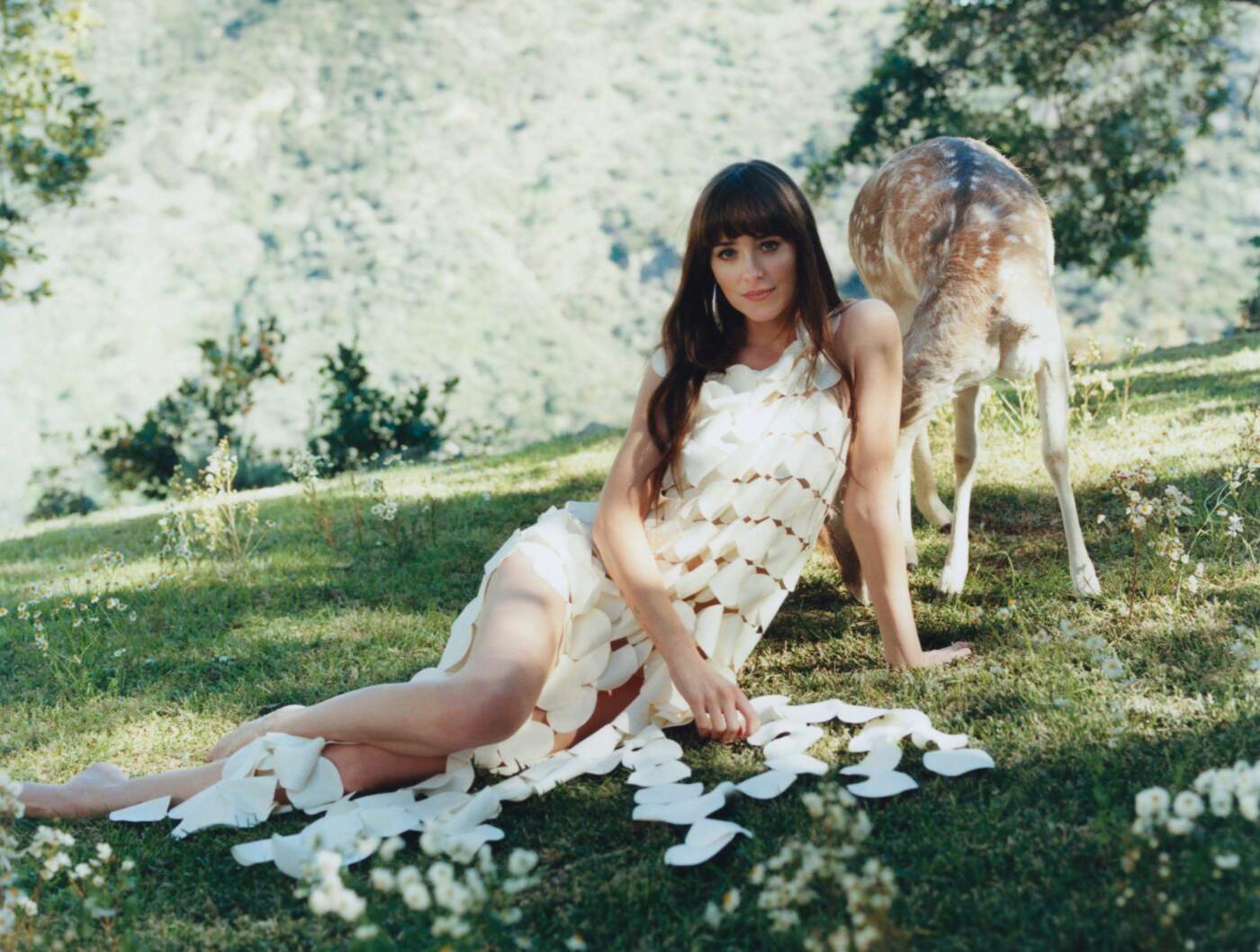 The Rising Stardom of Dakota Johnson