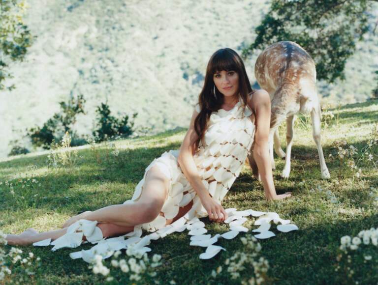 The Rising Stardom of Dakota Johnson
