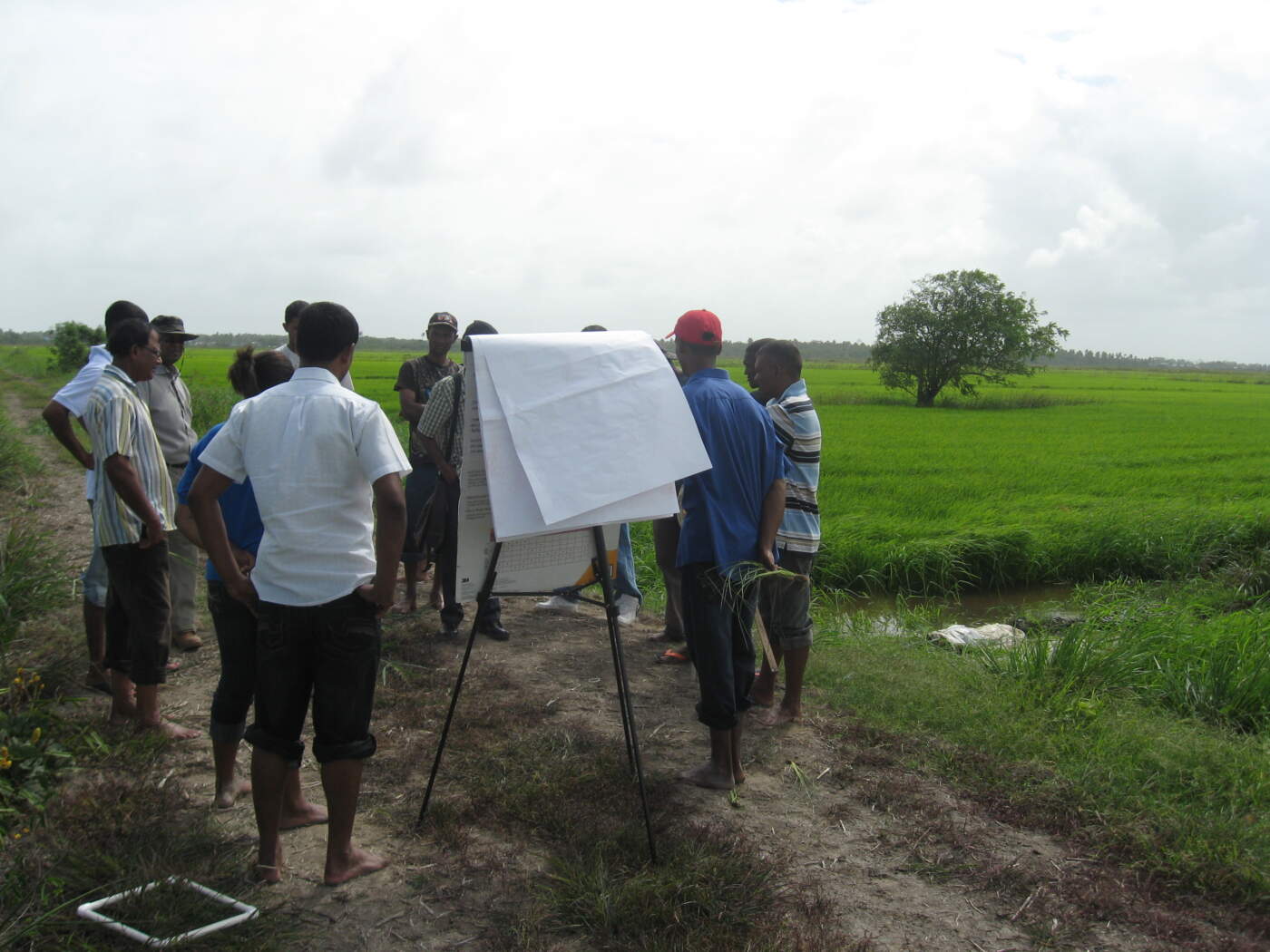 The Critical Role of Development in Modern Society