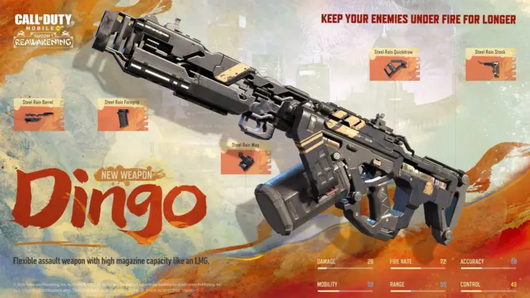 Understanding the Dingo: Australia’s Wild Dog