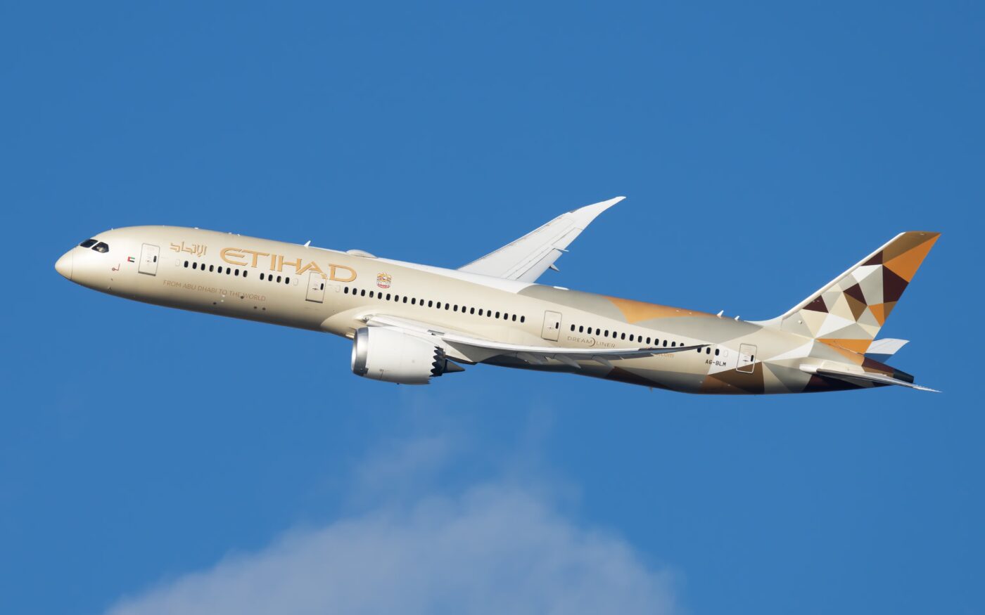 Etihad Airways: A Leader in Global Aviation