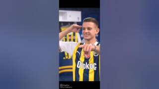Fenerbahçe: A Glimpse into the Heart of Turkish Football