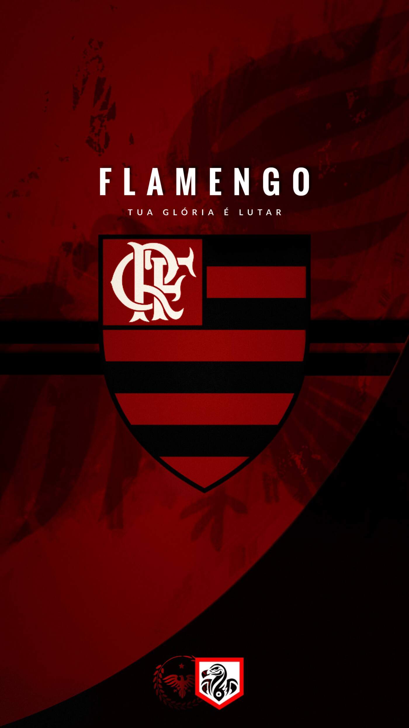 The Rise and Achievements of Flamengo Football Club