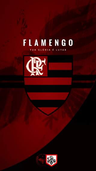 The Rise and Achievements of Flamengo Football Club