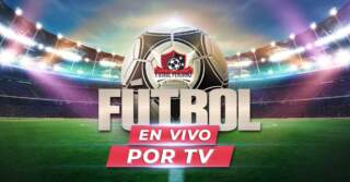 Everything You Need to Know About Futbol en Vivo