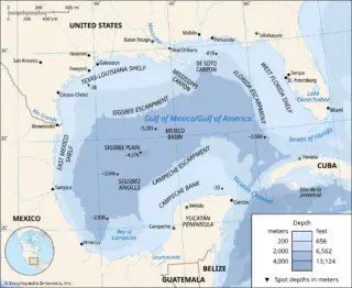 The Gulf of Mexico: A Crucial Marine Ecosystem