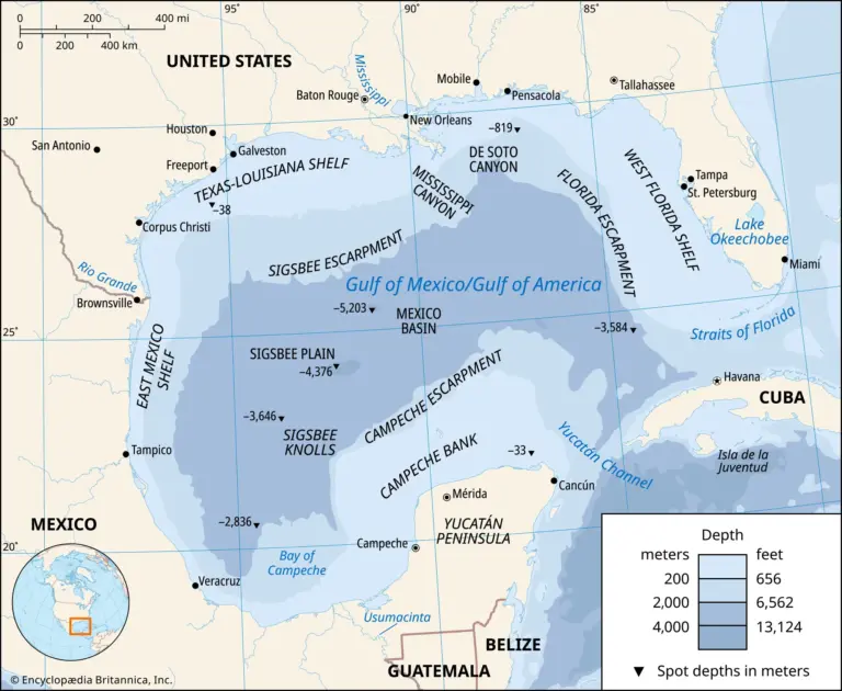 The Gulf of Mexico: A Crucial Marine Ecosystem
