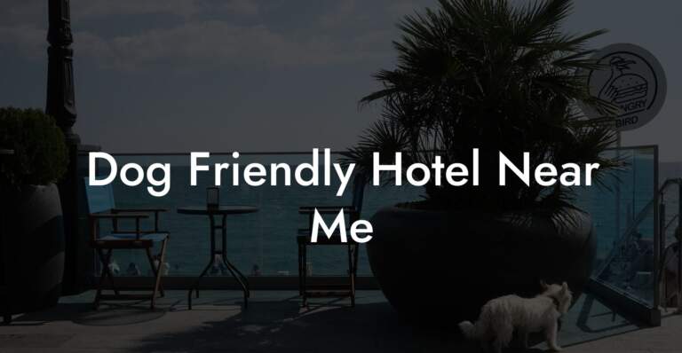 How to Find a Hotel Near Me: Tips and Resources
