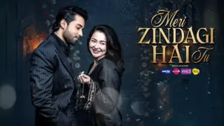 Highlights from Meri Zindagi Hai Tu Episode 23