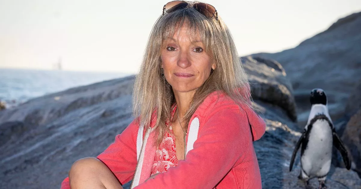 The Life and Career of Michaela Strachan