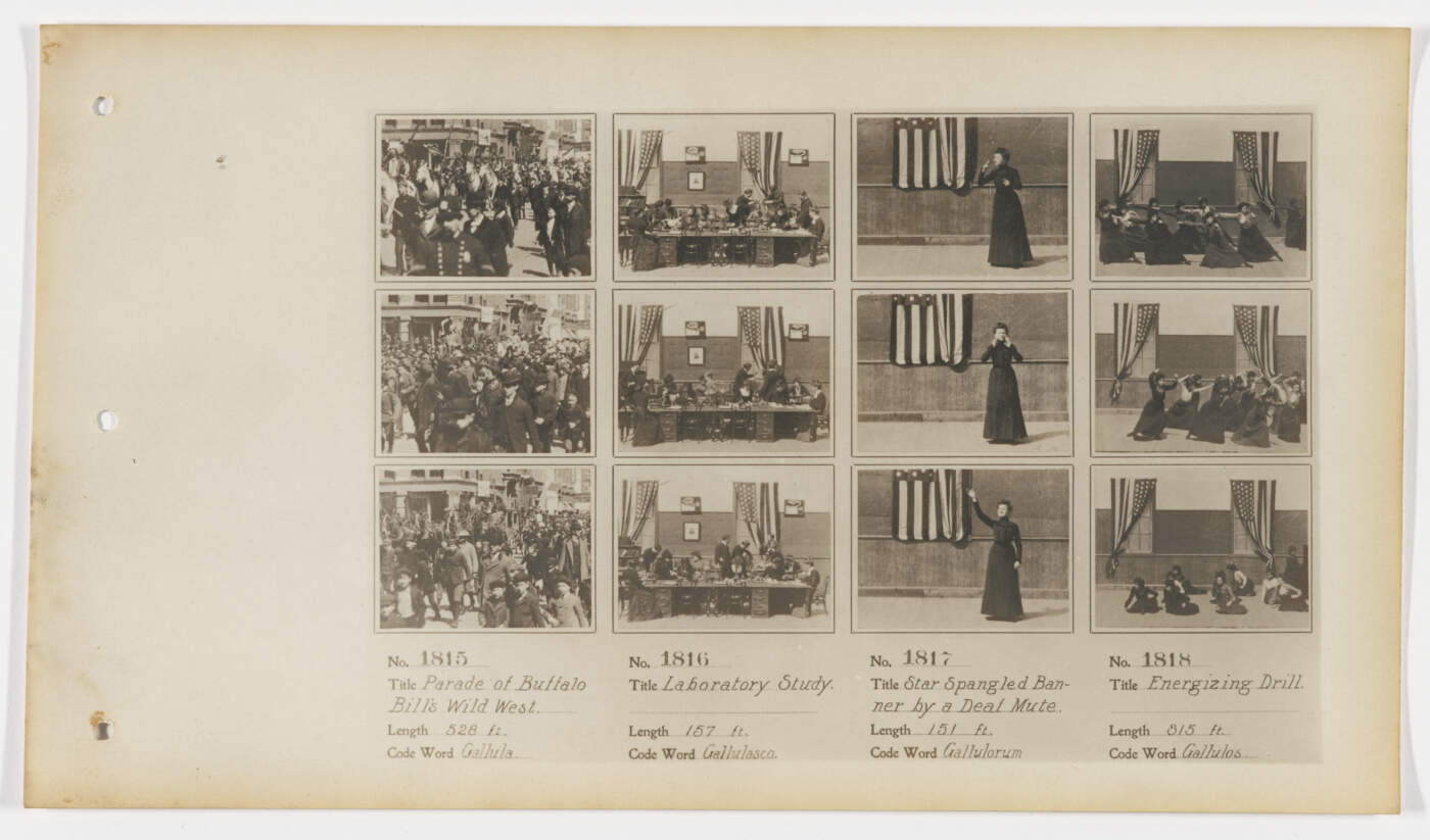 Understanding MoMA: The Museum of Modern Art