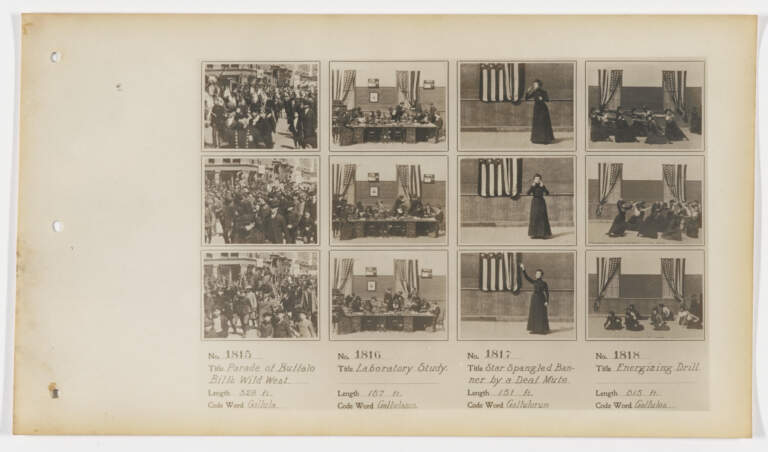 Understanding MoMA: The Museum of Modern Art