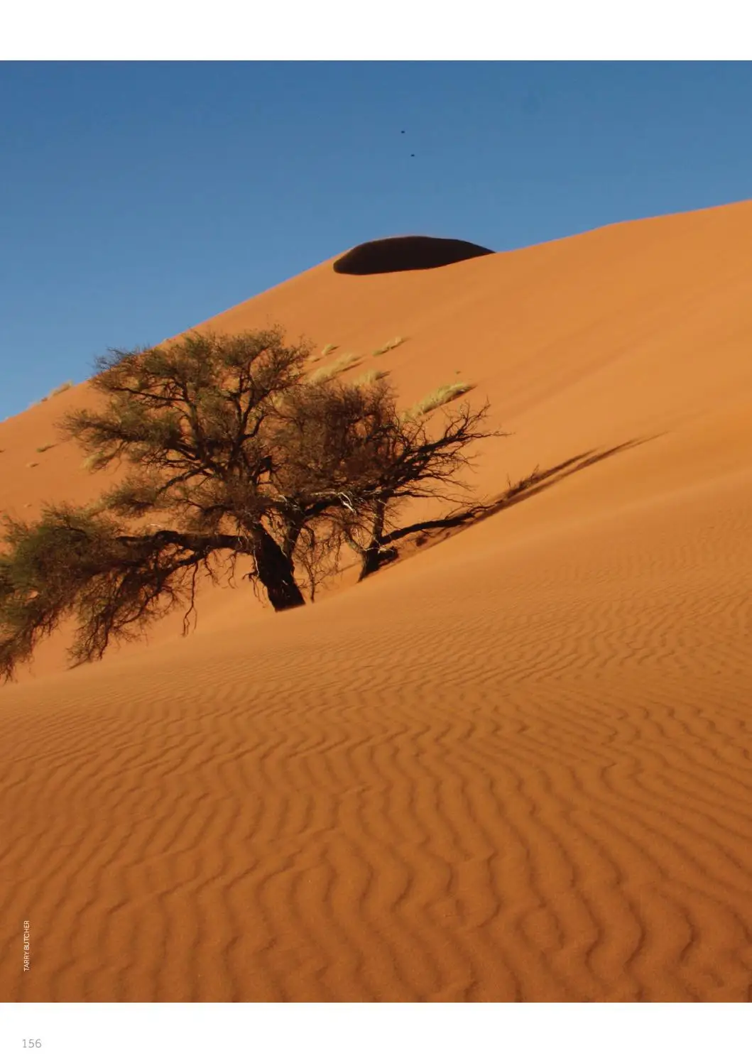 Discover the Wonders of Namibia: A Land of Diversity