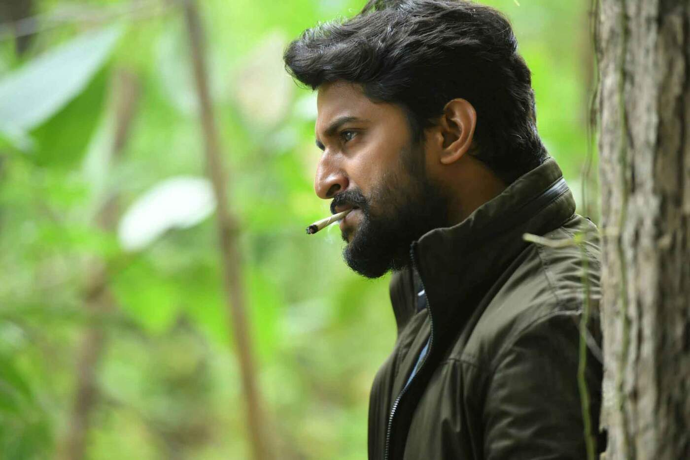 Nani: A Look at His Impact on Indian Cinema