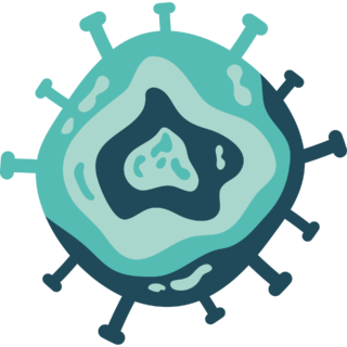 Understanding the Nipah Virus and Its Impact