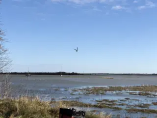 Exploring the Wonders of Northey Island
