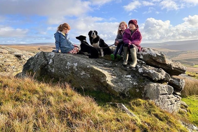 The Importance of Our Farm Next Door in Modern Community Life