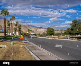 Exploring the Charms of Palm Springs