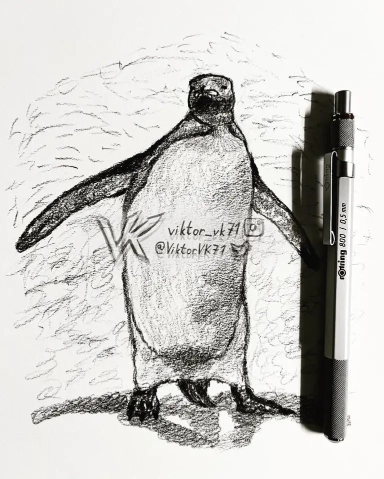 Understanding the Importance of Penguins in Our Ecosystem