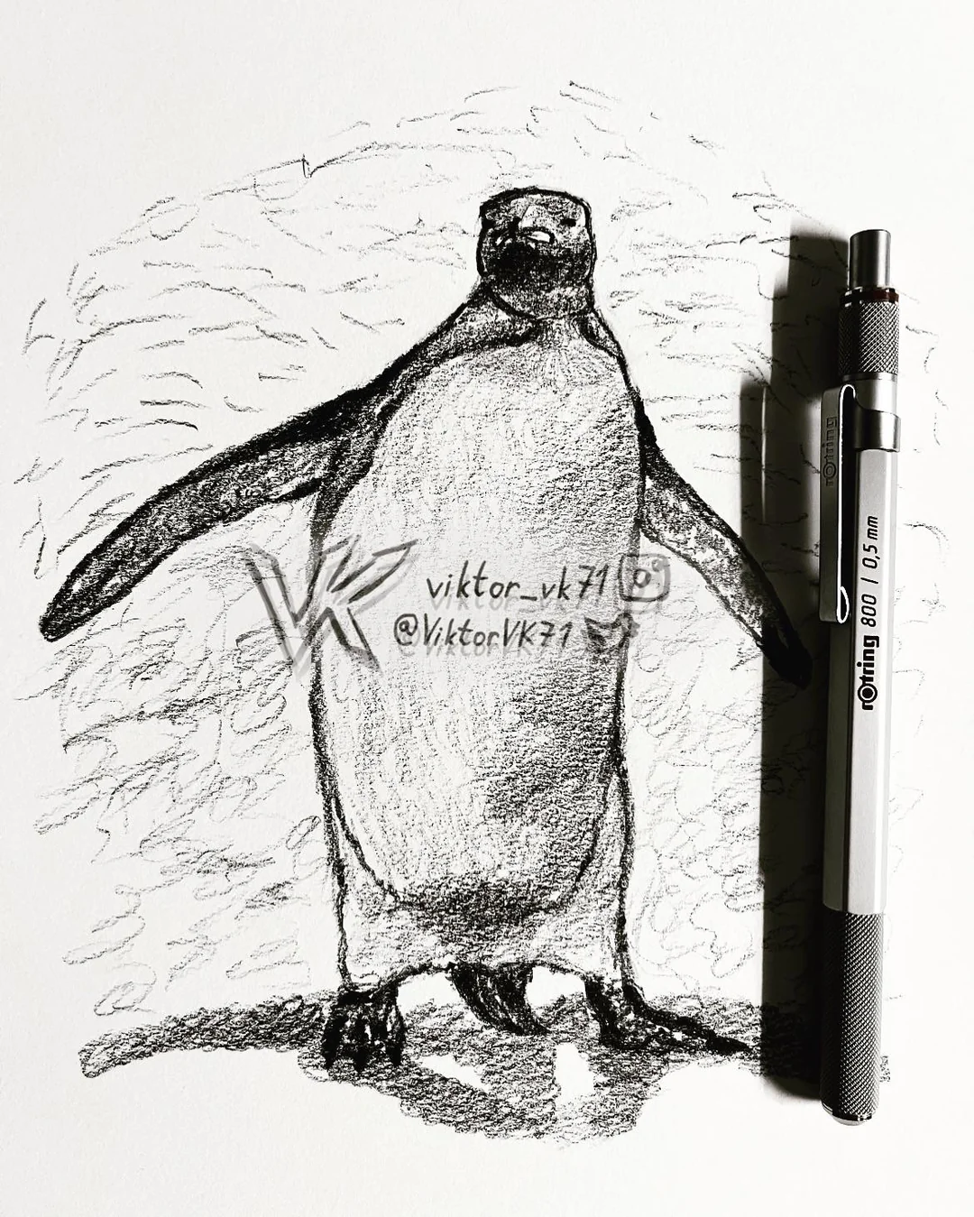 Understanding the Importance of Penguins in Our Ecosystem