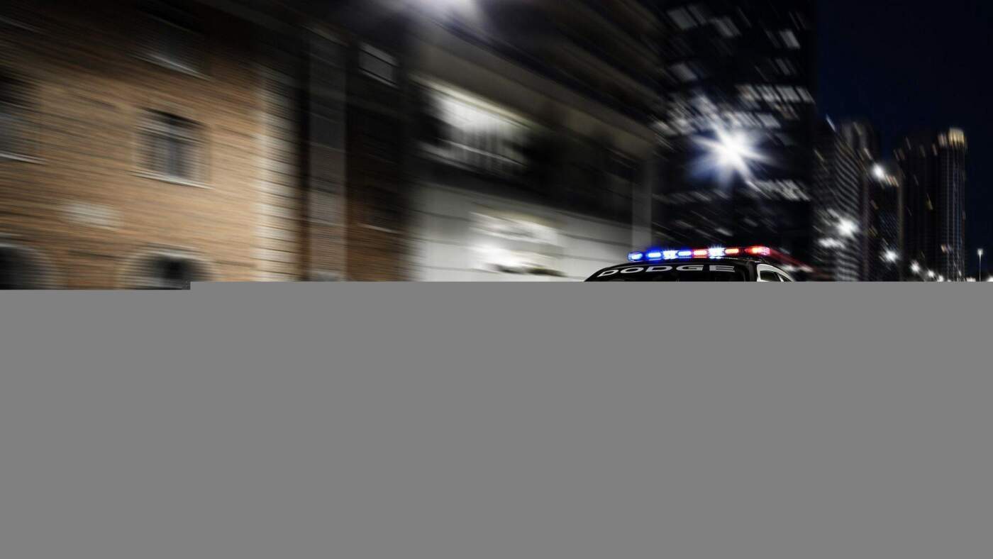 Understanding the Role and Challenges of Police in Society