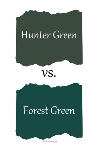 Preview of Scunthorpe vs Forest Green: Key Insights