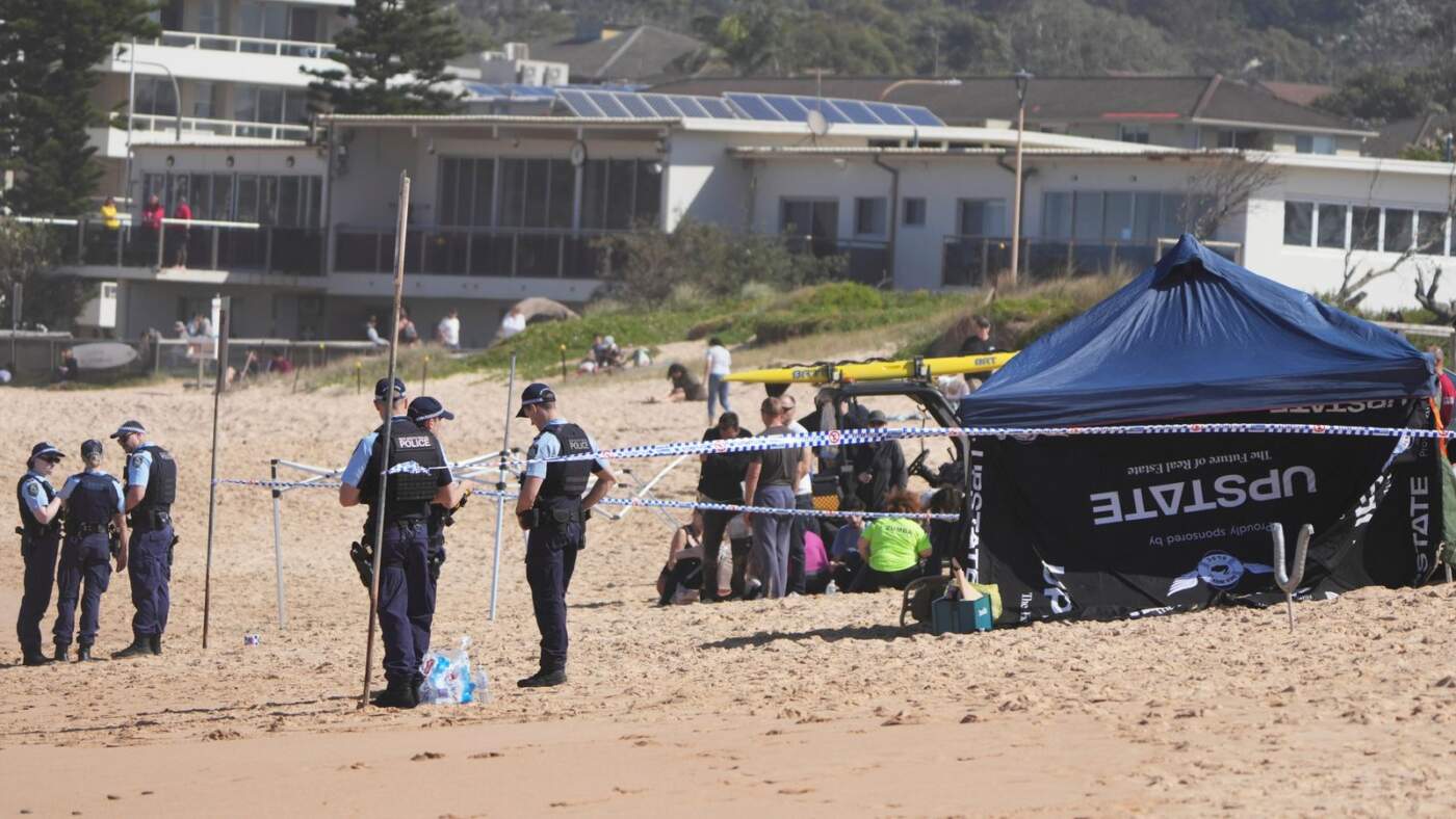 Recent Shark Attack in Sydney Sparks Safety Concerns