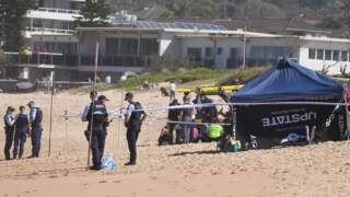 Recent Shark Attack in Sydney Sparks Safety Concerns