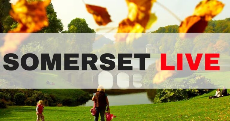 Keeping Up with Somerset Live: Latest News and Events