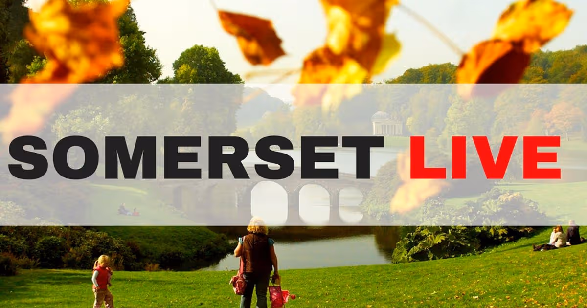 Keeping Up with Somerset Live: Latest News and Events