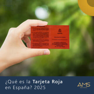 The Importance of Tarjeta Roja in Football