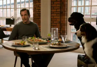The Unforgettable Journey of Will Arnett