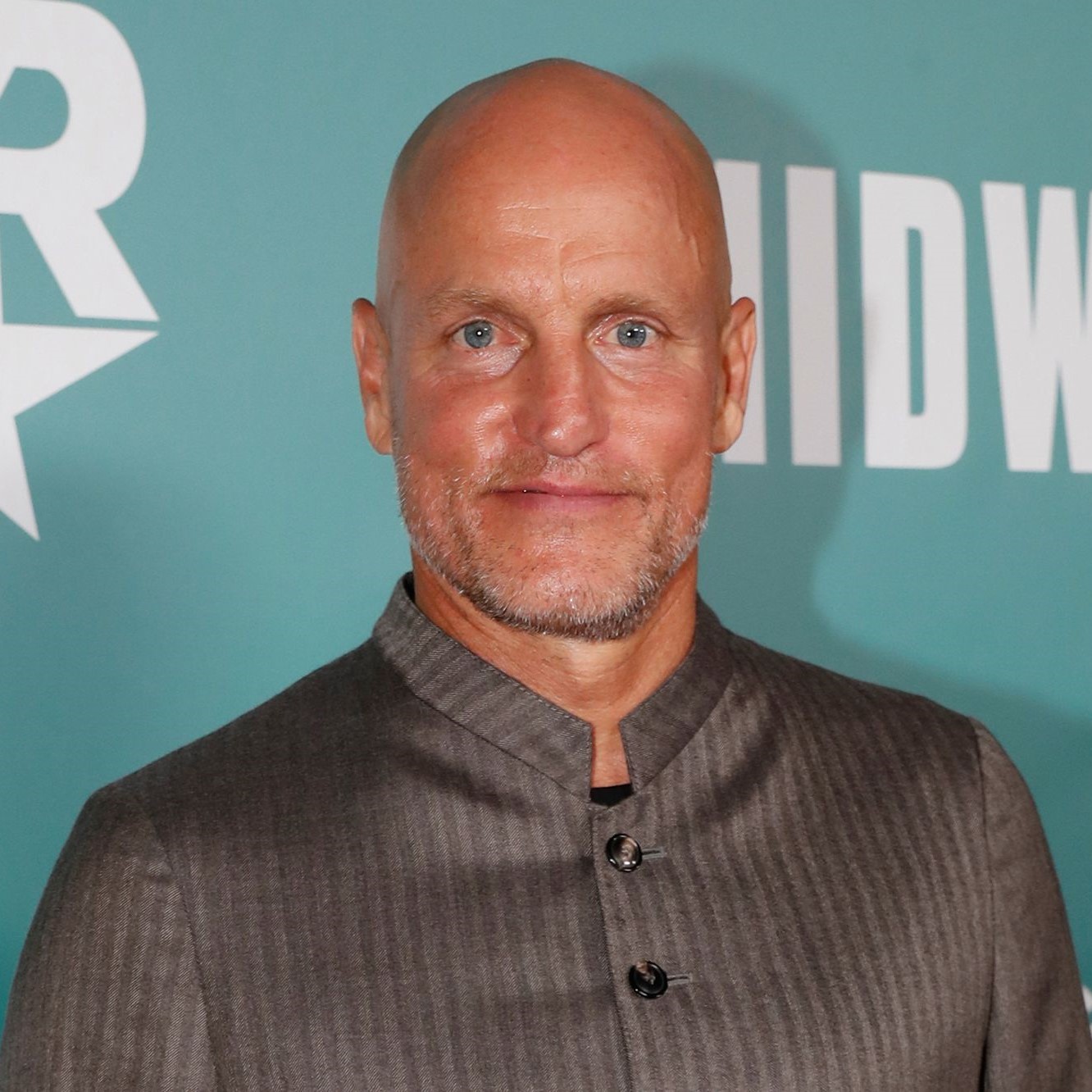 Woody Harrelson: A Versatile Actor in Film and Television
