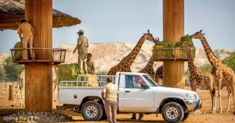 Exploring the Ain District: Culture and Recent Developments